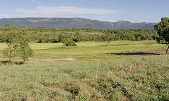 Imagem 7: EXCELENTE FAZ. MUNI. DE NOSSA SENHORA DO LIVRAMENTO - MT