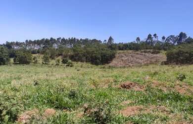 Imagem 5: 5000m² 30,000!!!