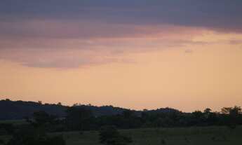 Imagem 3: EXCELENTE SITIO NO MUNI. DE CHAPADA DOS GUIMÃES -MT