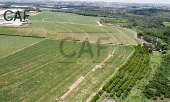 Imagem 2: Sítio à venda, 20000 m² por R$ 700.000 - Palmeirinha - Holambra/SP