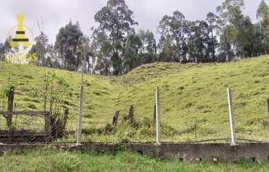 Imagem 6: Chácara com 8 dormitórios à venda, 53966 m² por R$ 2.800.000,00 - Bairro dos Mimis - Pirac