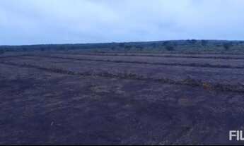 Imagem 4: Fazenda Para Lavoura Safra e Safrinha