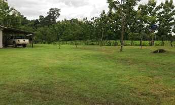 Imagem 4: Sítio 80 Alqueires Ji - Paraná