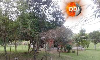 Imagem 3: Mas bah tchê!!! Excelente Sitio 1 hectares em Santo Antonio da Patrulha, RS