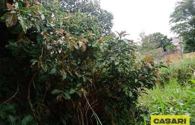 Imagem 2: Tereno b.assunção sbc 2800