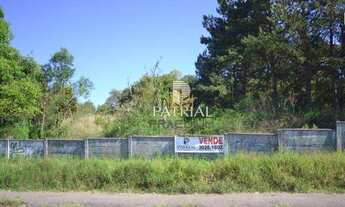 Imagem 1: Terreno à venda, 3934 m² por R$ 5.000.000 - Cachoeira - Curitiba/PR