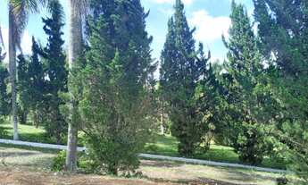 Imagem 6: Lote/Terreno para venda tem 1000 metros quadrados em Jardim Disneylandia - Ibiúna - SP