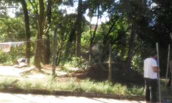 Imagem 4: Lote são José da Lapa