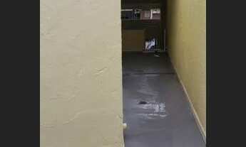 Imagem 3: Casa residencial para locação, Chácara Inglesa, São Paulo