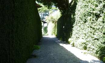 Imagem 3: CASA TÉRREA - MORUMBI - SP