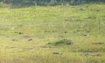 Imagem 4: REF. 30 Terreno com Escritura Pública, no bairro Ratones, Florianópolis/SC