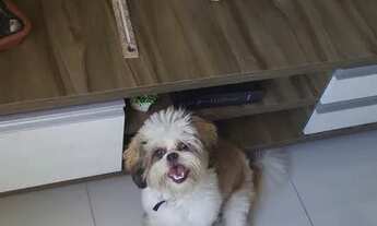 Imagem 6: Alugo quarto - vaga feminina