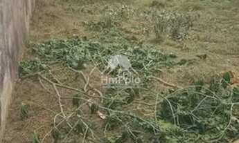 Imagem 3: Terreno Área em Hortolândia