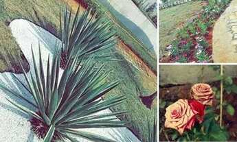 Imagem 6: Chacara para Natal 3 dias