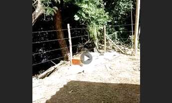 Imagem: Aluga rancho casa beira rio são Francisco