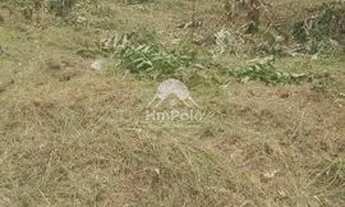 Imagem 4: Terreno Área em Hortolândia