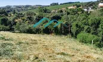 Imagem 4: Terreno para Venda em Pinhalzinho, ZONA RURAL