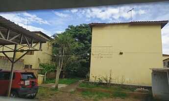 Imagem 3: Araraquara - Apartamento Padrão - Jardim Residencial Paraiso