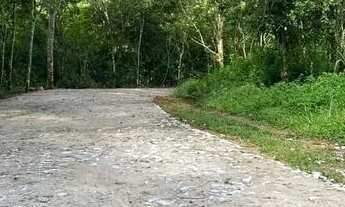 Imagem 3: Lotes Em Pacoti !!!Sem Burocracia Entrada Facilitada Venha Conhecer !!. presencie