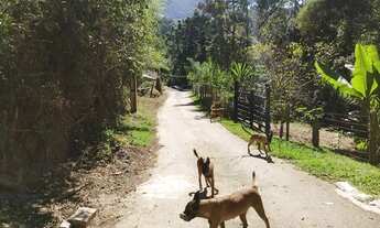 Imagem 5: Sitio A Venda Em Extrema/MG, Bela Casa Arejada 300 M2, Com Piscina