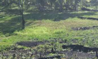 Imagem 4: Vendo Sítio no Careiro Castanho BR319 -Ramal são jose