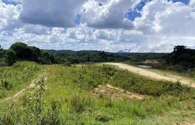 Imagem 6: Ótimas chácaras em são José dos Pinhais