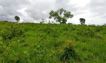 Imagem 7: Chacara em Mairipotaba com represa a 80 km de Goiânia chacaras 2 hectares aceito carro