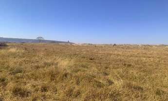 Imagem 4: Fazenda em campina verde