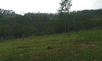 Imagem 4: CHÁCARA / ÁREA 5 HECTARES À VENDA EM TAQUARA - RS
