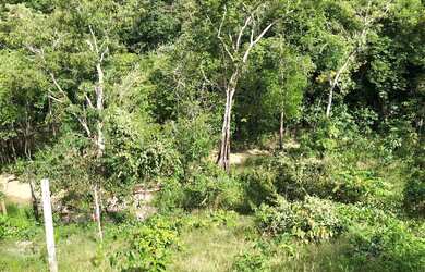 Imagem: Sitio no Puraquequara