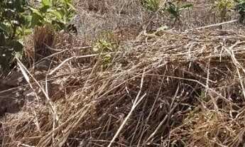 Imagem 3: Lote com 400 metros, linda vista