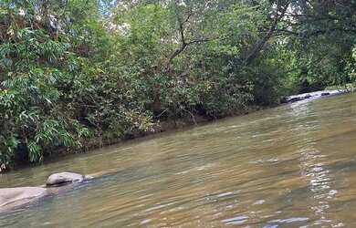 Imagem 7: Sítio em Buritis Minas Gerais