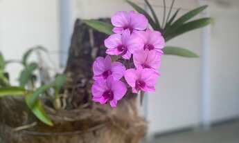 Imagem 6: Aluguel de quartos