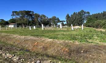Imagem 7: Terreno 5.800m2 Região do Caminho do Vinho próximo a fábrica da Renault