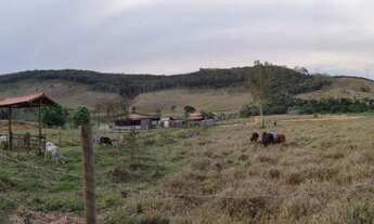 Imagem 5: Lote à venda, Área Rural de Ponte Nova - Ponte Nova/MG