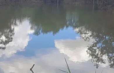 Imagem 6: Vendo 2 propriedades de 17ha cada (34ha lado a lado) em Buritis-MG