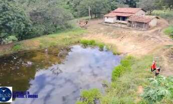 Imagem 2: Chácara Escriturada 6 Alqueires com Água e Curral Pirenópolis-GO