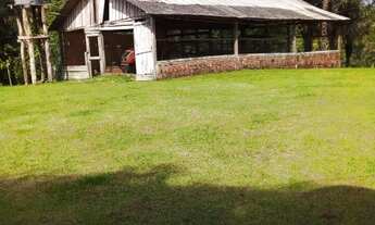 Imagem 6: Sítio 300 x 1.100 na am 010 km 83 Rio Preto da Eva 1.700.000