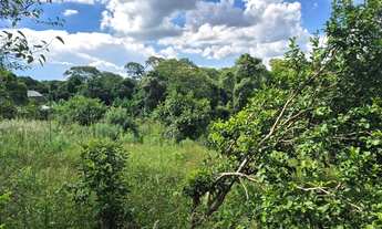 Imagem 3: Terreno em ibiuna