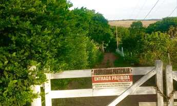 Imagem 5: Chácara proximo Aragoiânia