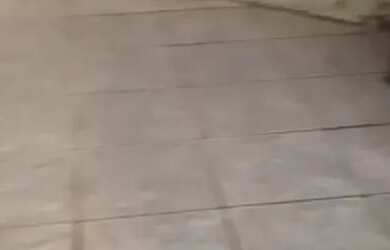 Imagem 4: Alugo espaço para trabalho para fazer marcenaria ou vc que trabalha com mármore espaço9x12