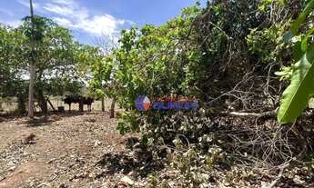 Imagem 7: Sítio com 4 dormitórios à venda, 172062 m² por R$ 2.100.000,00 - Vila Ventura - Ibirá/SP