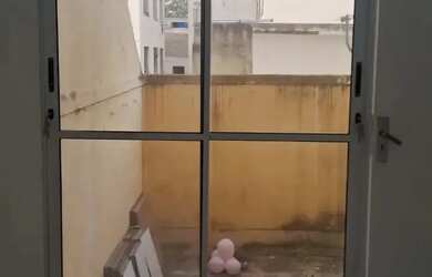 Imagem 6: Imóvel para aluguel possui 66 metros quadrados com 2 quartos