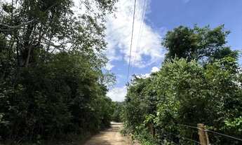 Imagem: Lote chapada dos Veadeiros