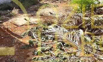 Imagem 5: LOTE 400m COM 9m DE FRENTE 100% PLANO MURADO COM PORTÃO COM PISCINA CONDOMÍNIO RUA 12 VICE