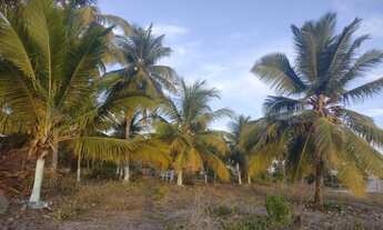 Imagem 7: Sítio Chácara com venda com preço sob consulta