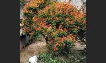 Imagem 5: Casa à venda em Barueri, Jardim Tupã, com 2 quartos, com 348 m²