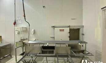 Imagem 5: Frigorifico de pescados para Alugar no bairro Murta