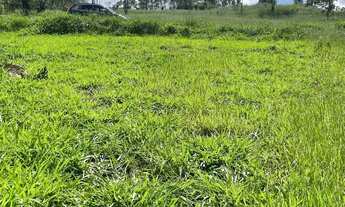 Imagem 5: Viva com Qualidade de Vida em São João Novo Lotes Liberados!