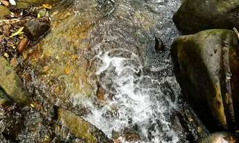 Imagem 2: Terreno à venda codigo: 141831